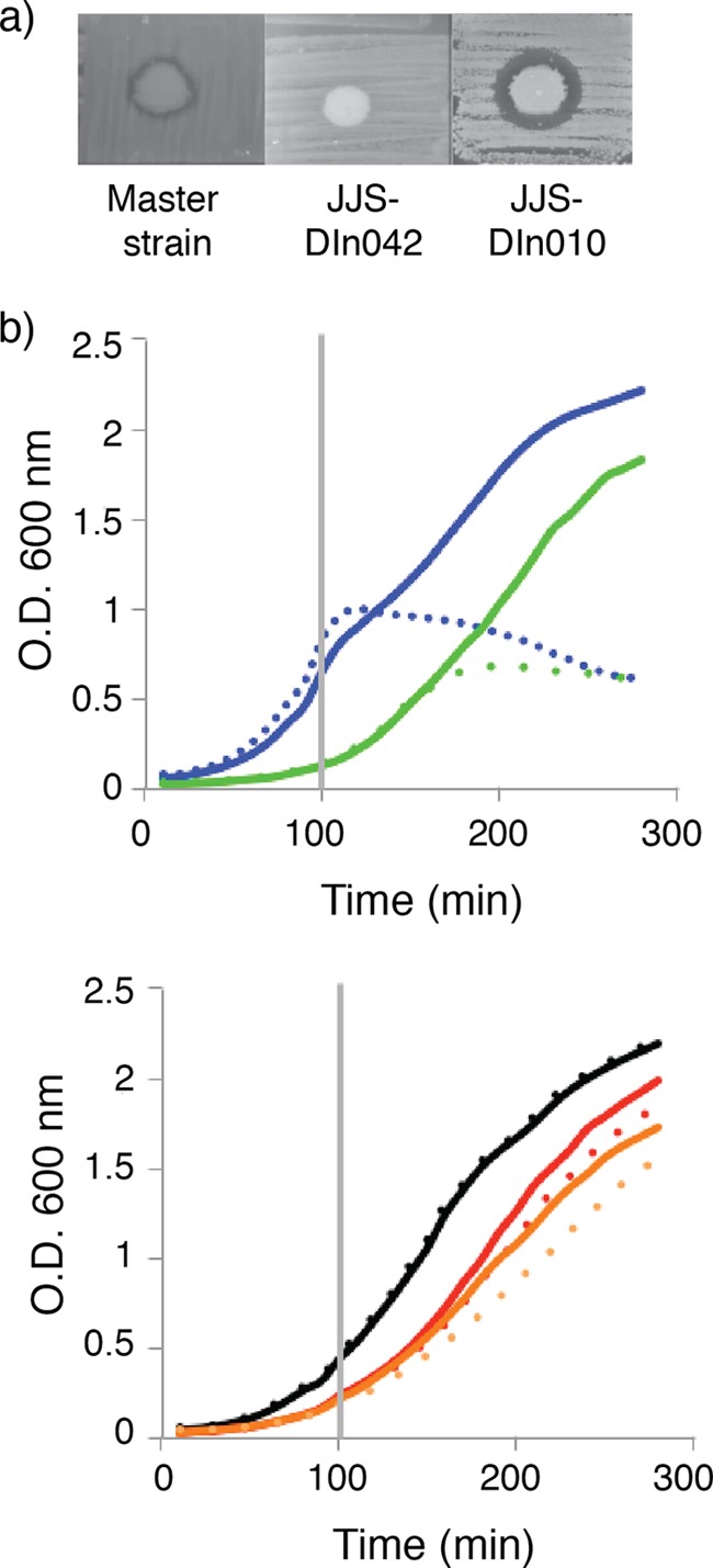 FIG 3