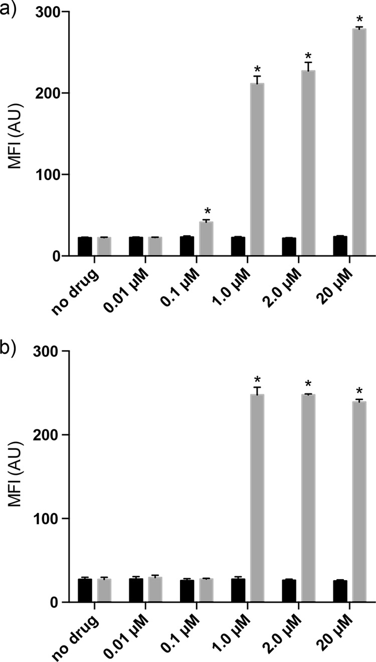 FIG 2