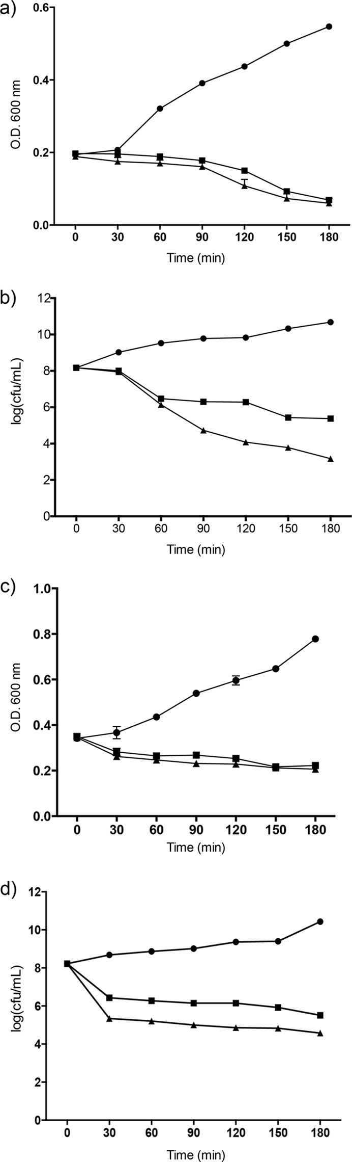 FIG 1