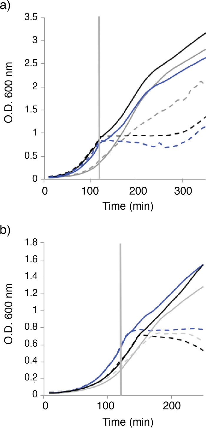 FIG 5