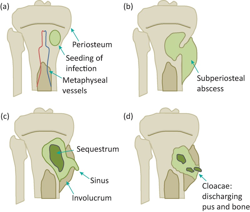 Fig 1.