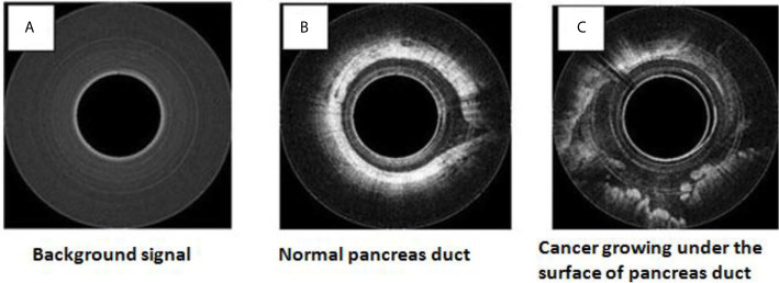 Figure 13