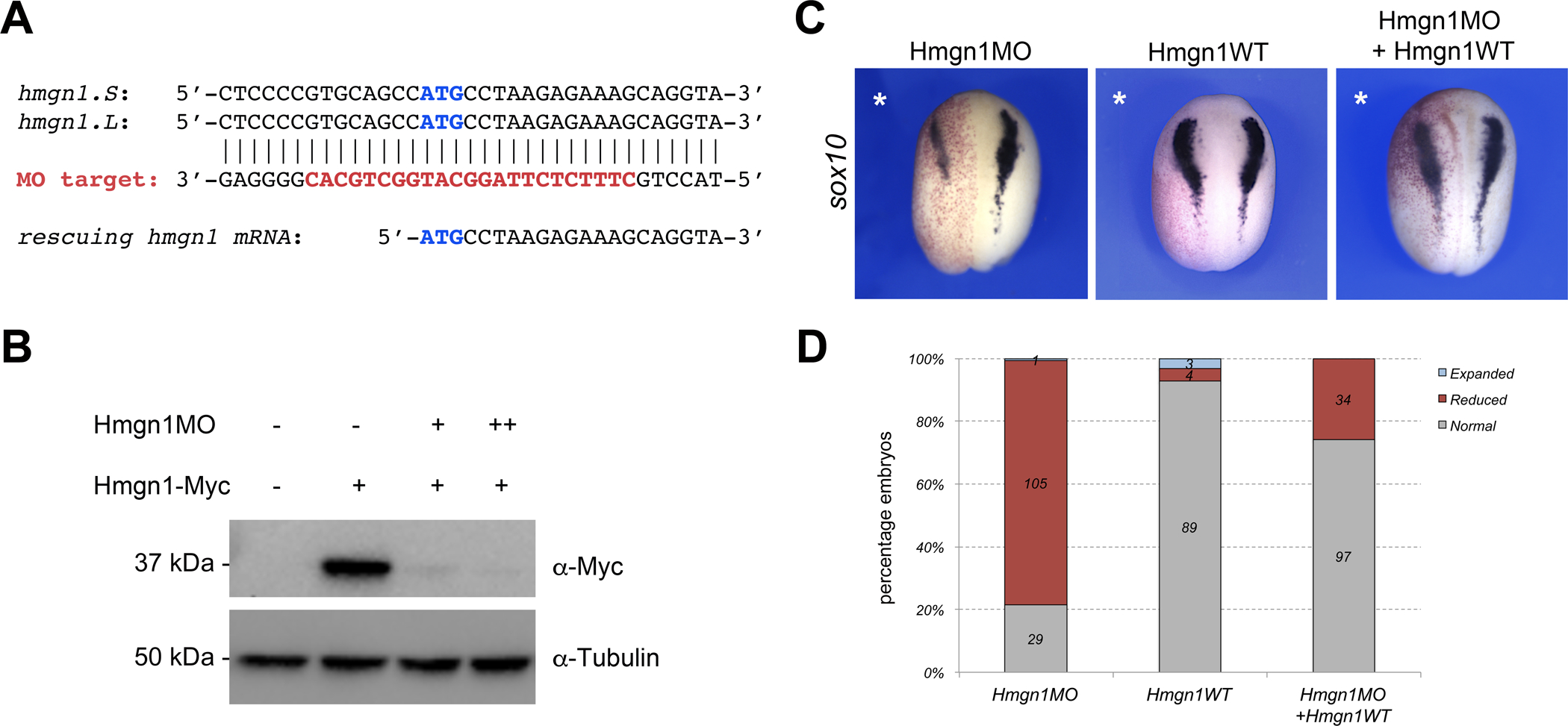 Figure 2: