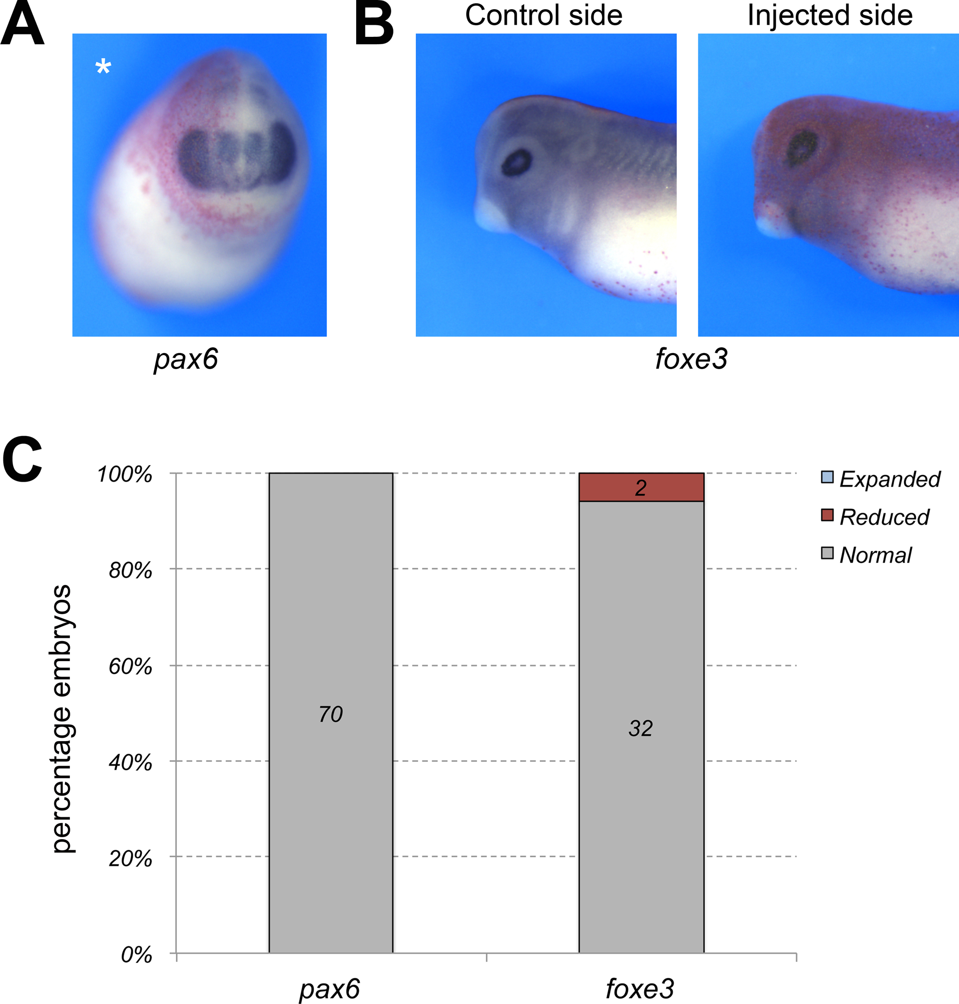 Figure 4: