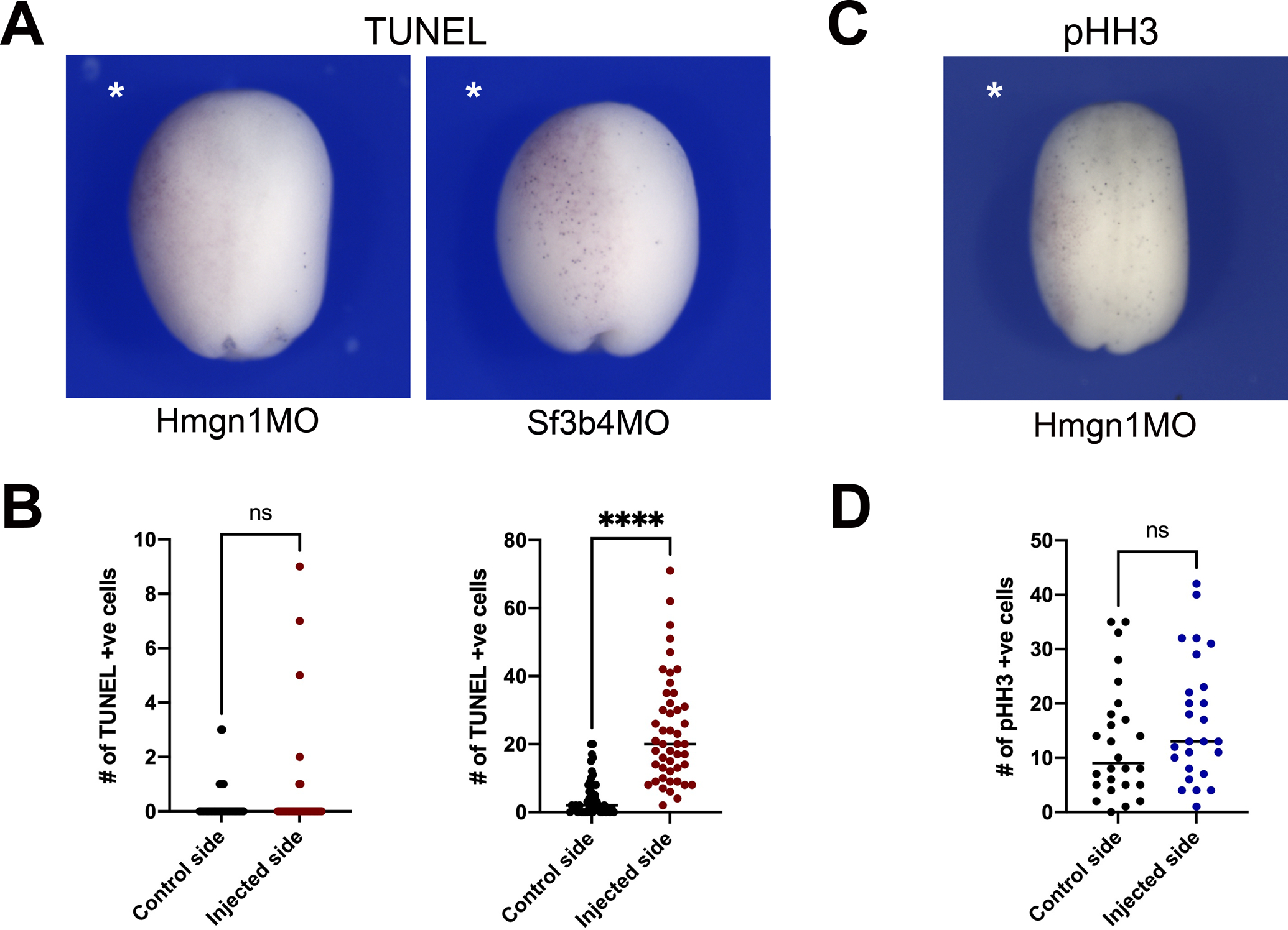 Figure 5: