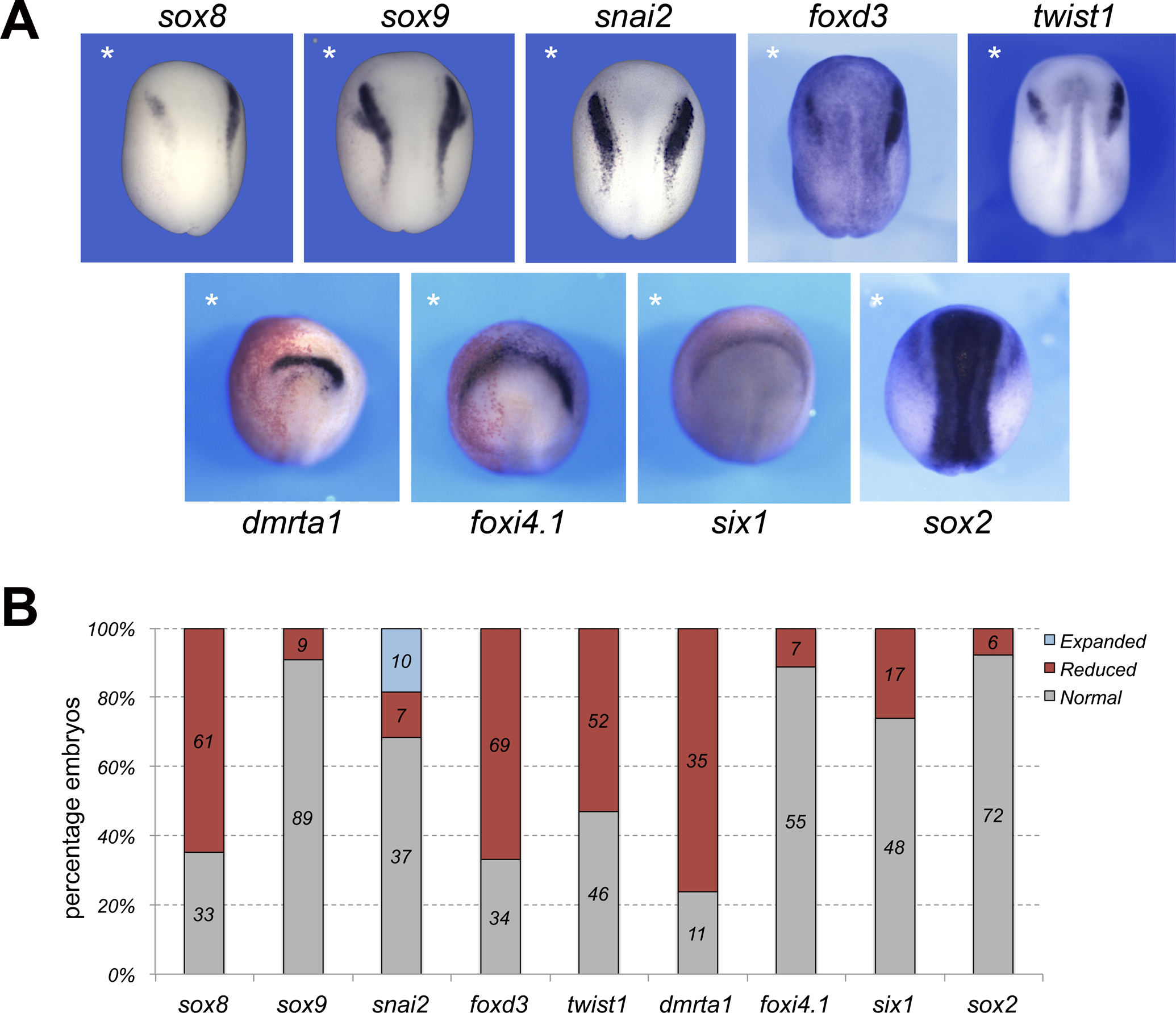 Figure 3: