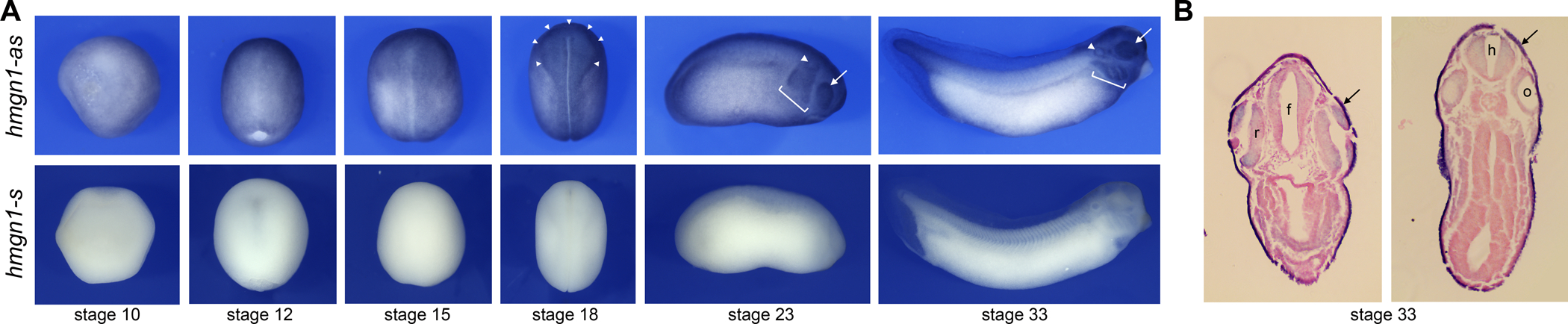 Figure 1: