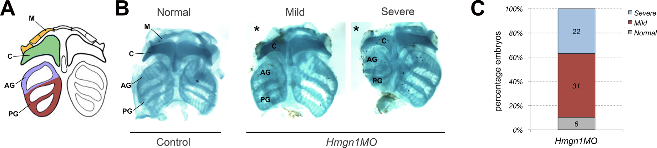 Figure 7: