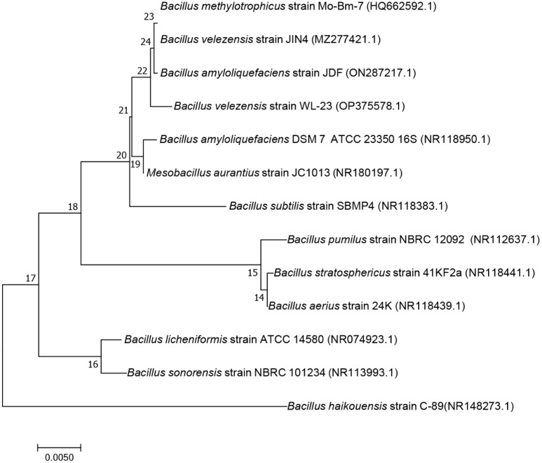 Figure 3