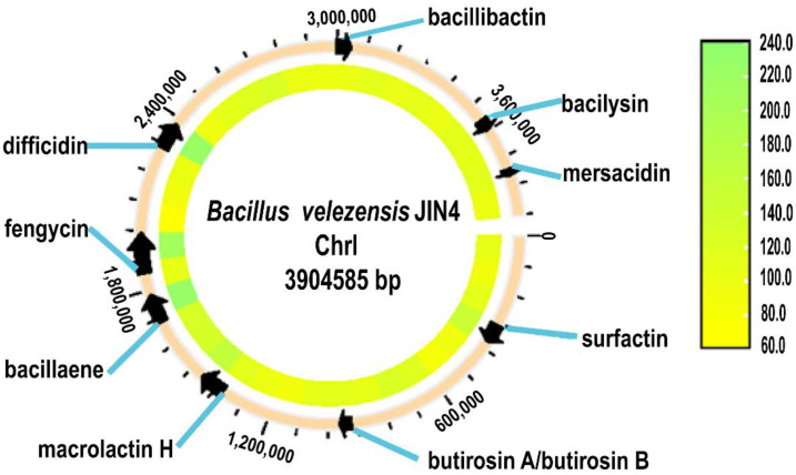 Figure 5