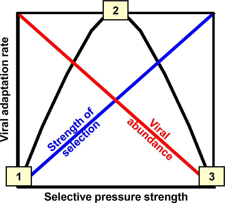 FIG 1