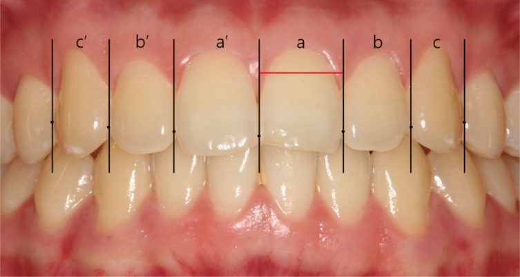 Fig. 3