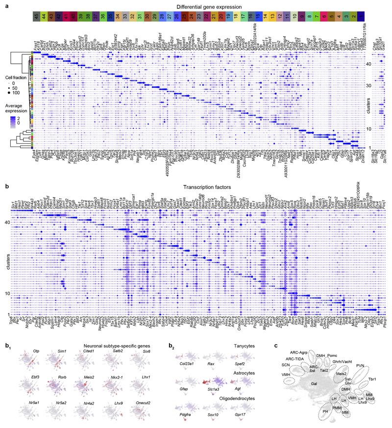 ED Figure 1