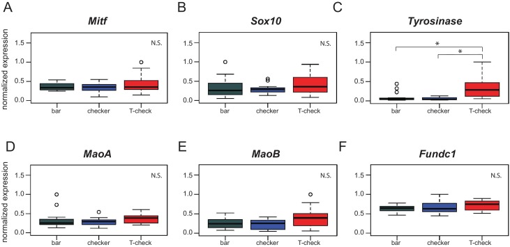 Figure 3—figure supplement 1.