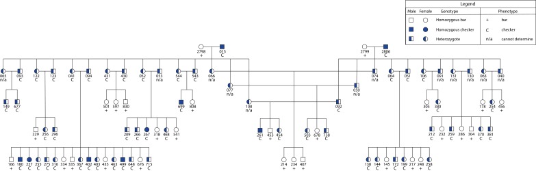 Figure 1—figure supplement 4.