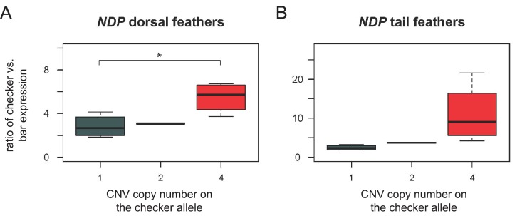 Figure 3—figure supplement 3.