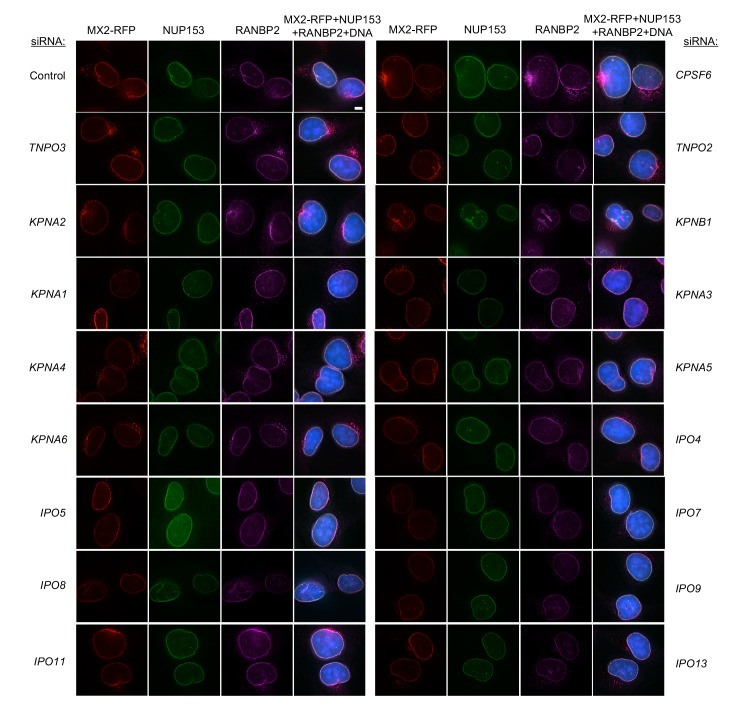 Figure 6—figure supplement 6.