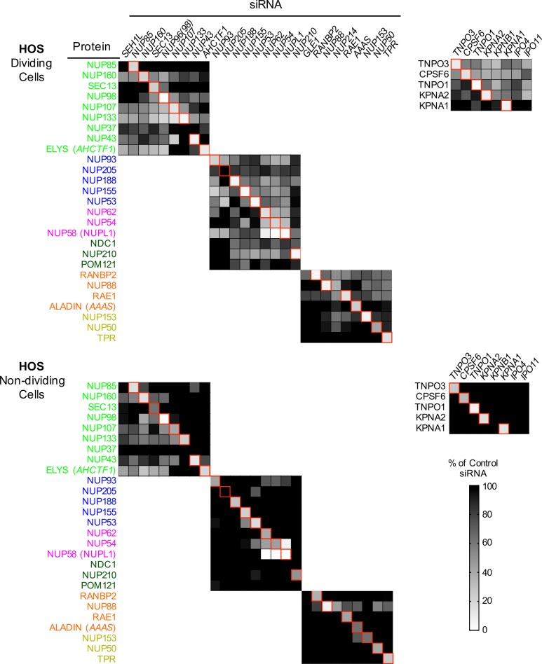 Figure 5—figure supplement 2.