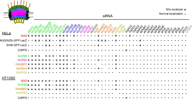 Figure 6—figure supplement 1.