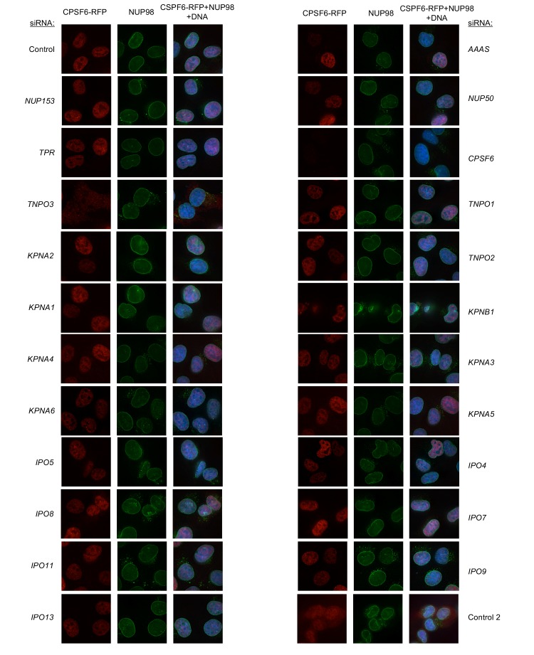 Figure 6—figure supplement 14.