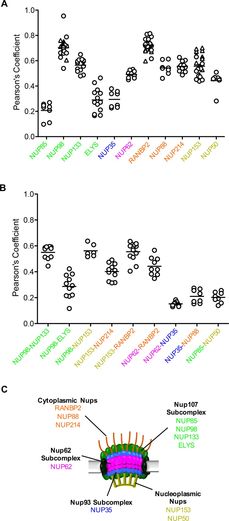 Figure 7.