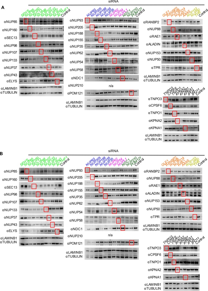 Figure 5—figure supplement 5.