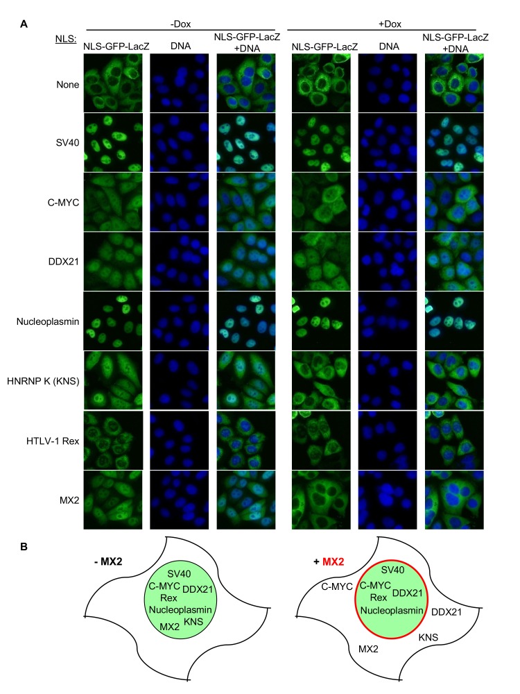 Figure 12.