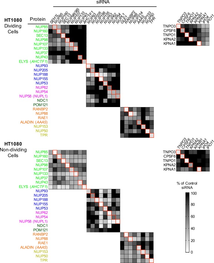 Figure 5—figure supplement 1.