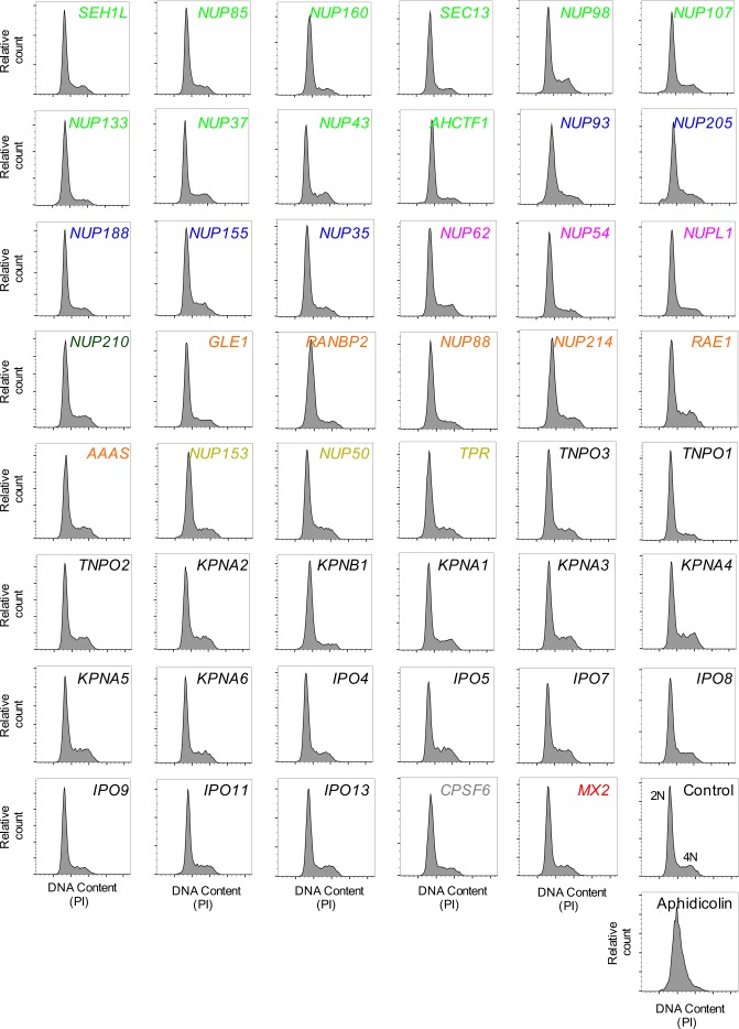 Figure 5—figure supplement 8.