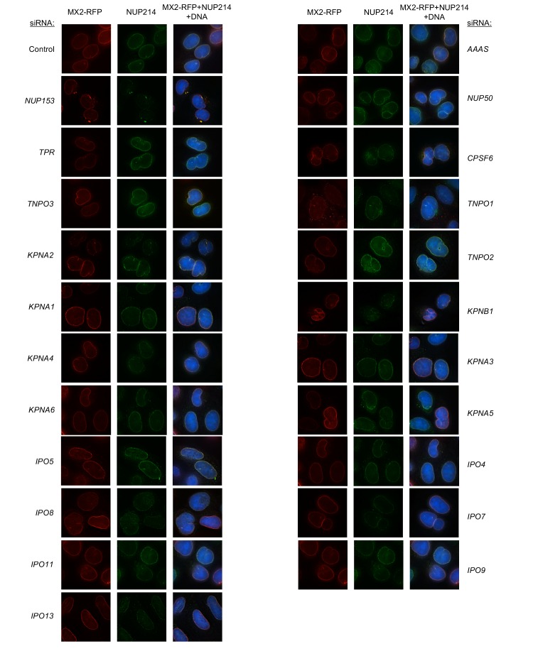 Figure 6—figure supplement 10.