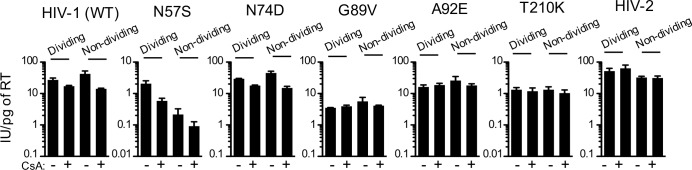 Figure 1—figure supplement 3.