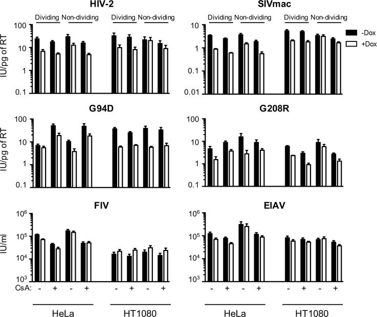 Figure 1—figure supplement 2.