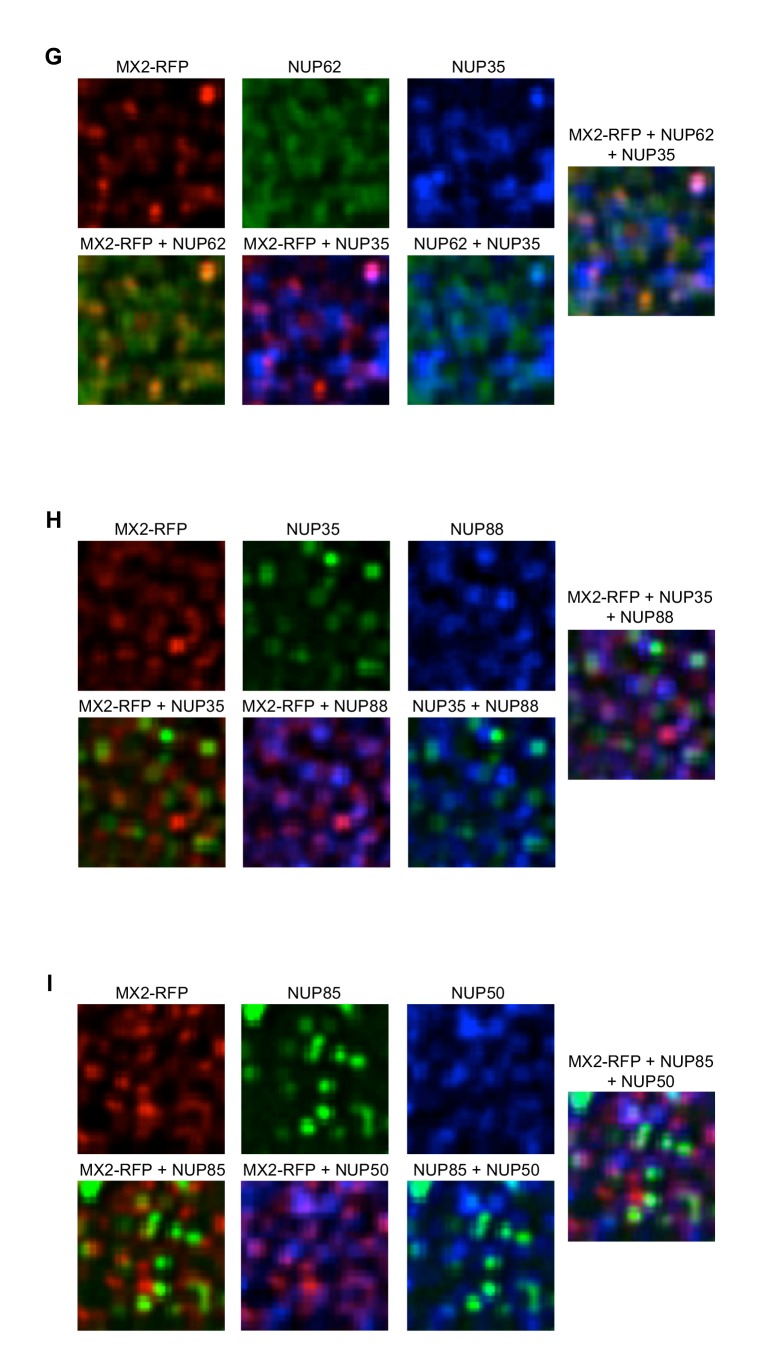 Figure 7—figure supplement 3.