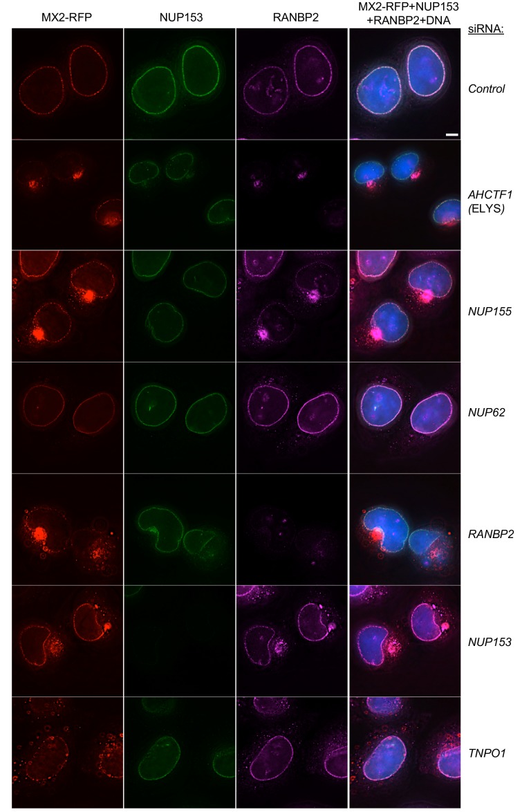 Figure 6.