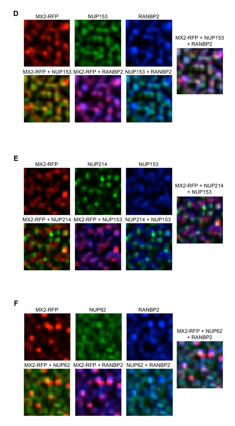 Figure 7—figure supplement 2.