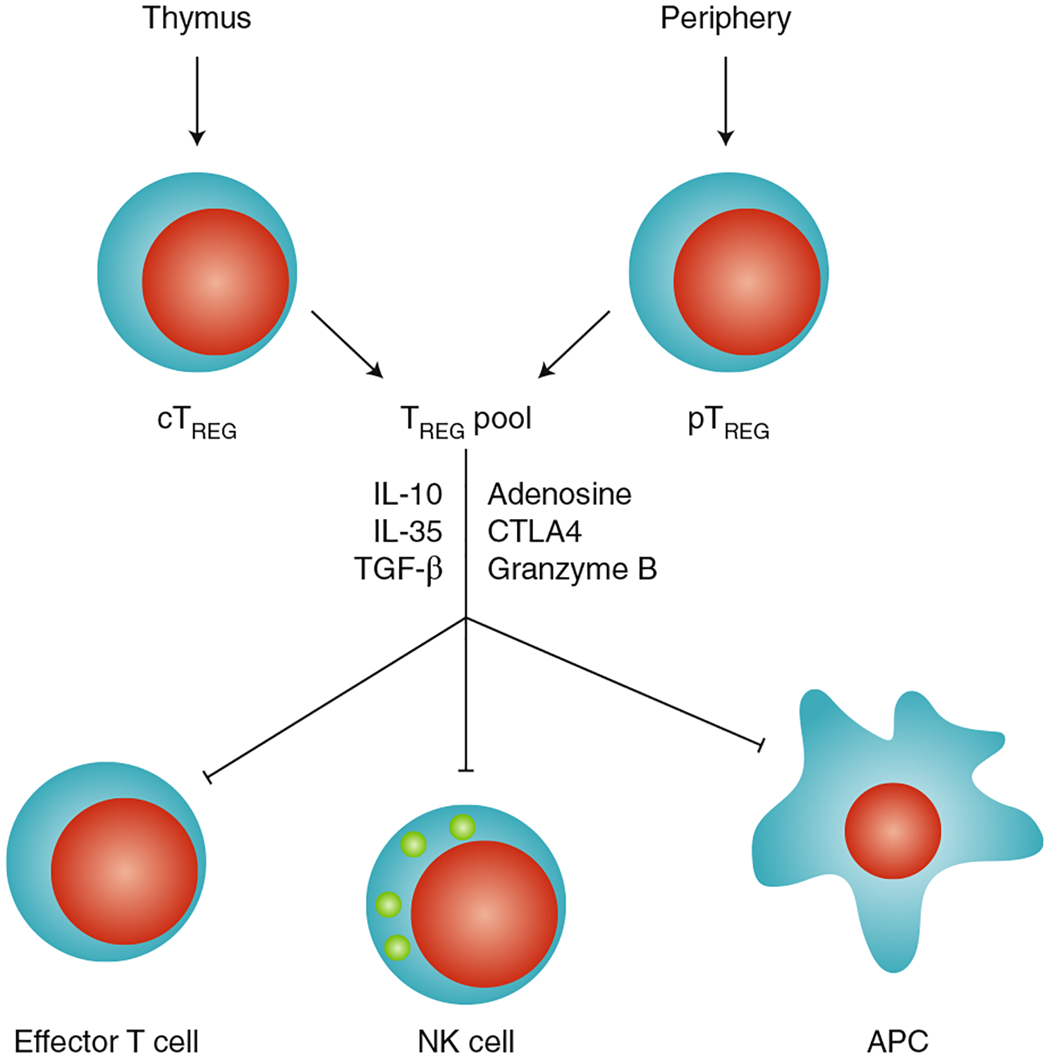 Fig. 1 |