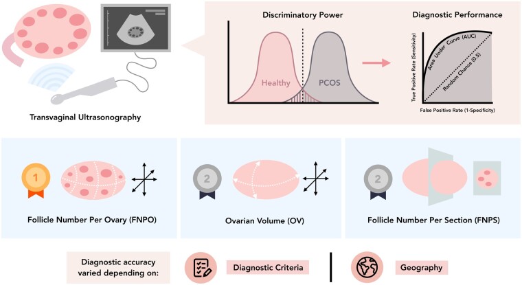 Graphical Abstract