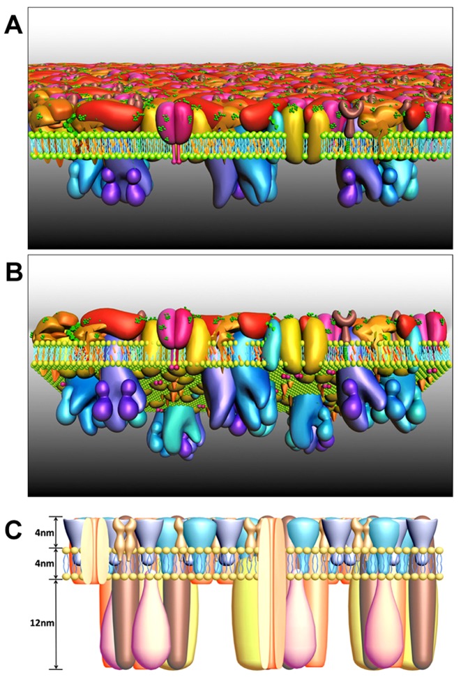 Figure 7