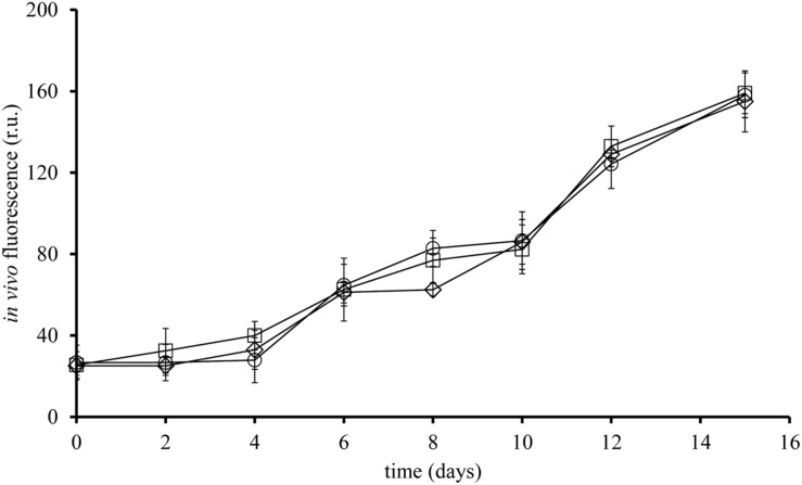 FIGURE 2