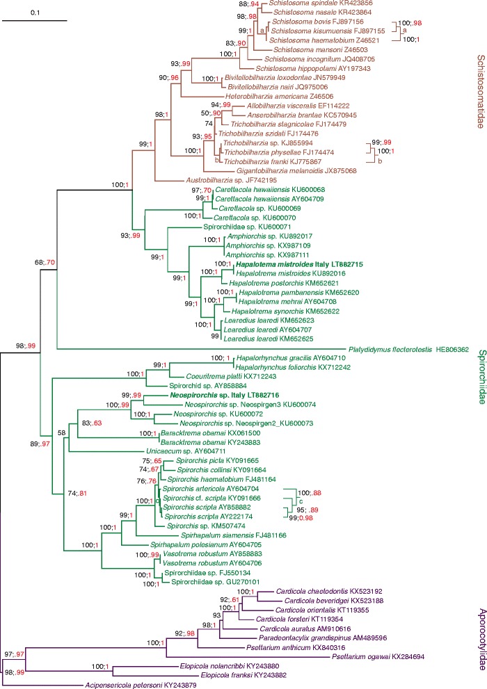 Fig. 4