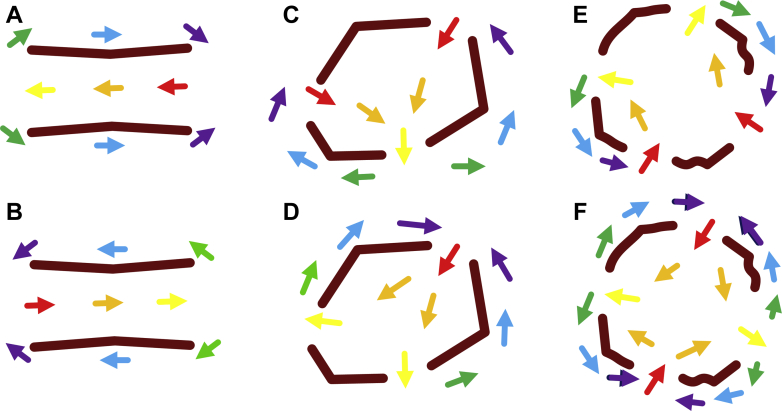 Figure 6