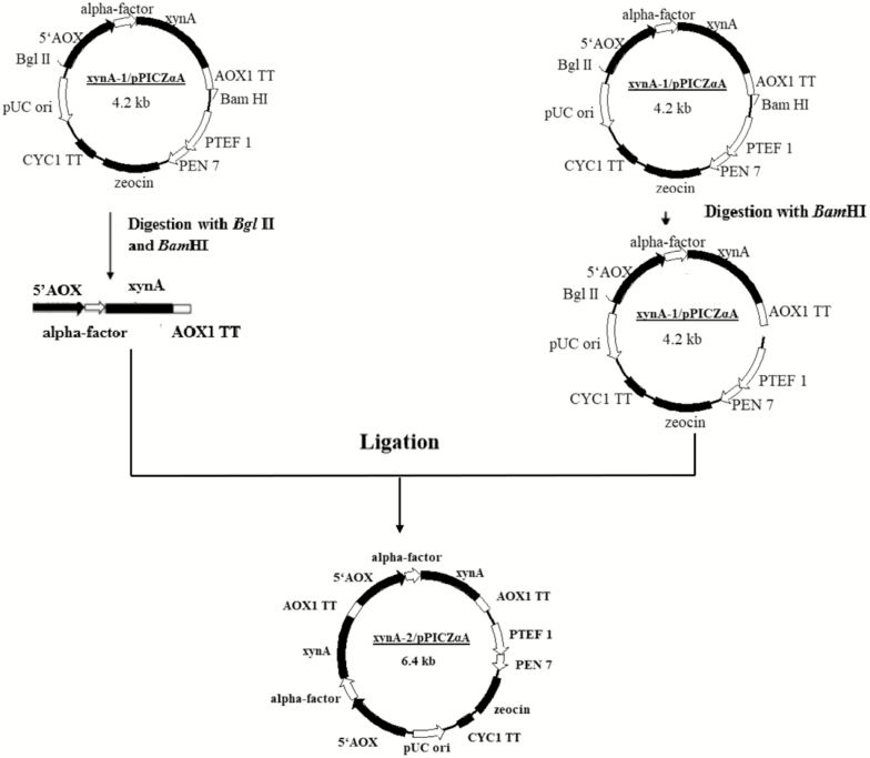 Figure 1.