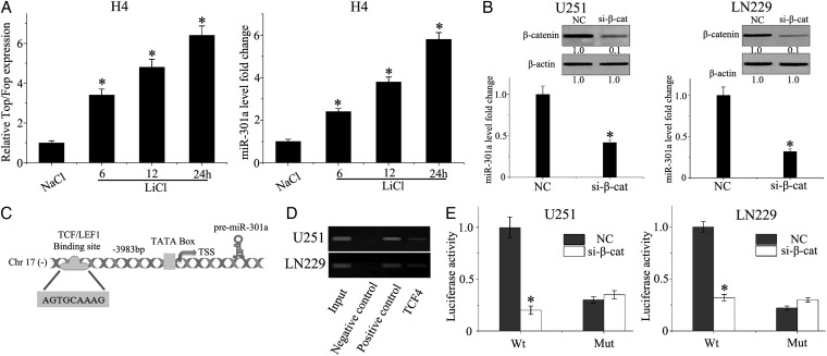 Fig. 2.