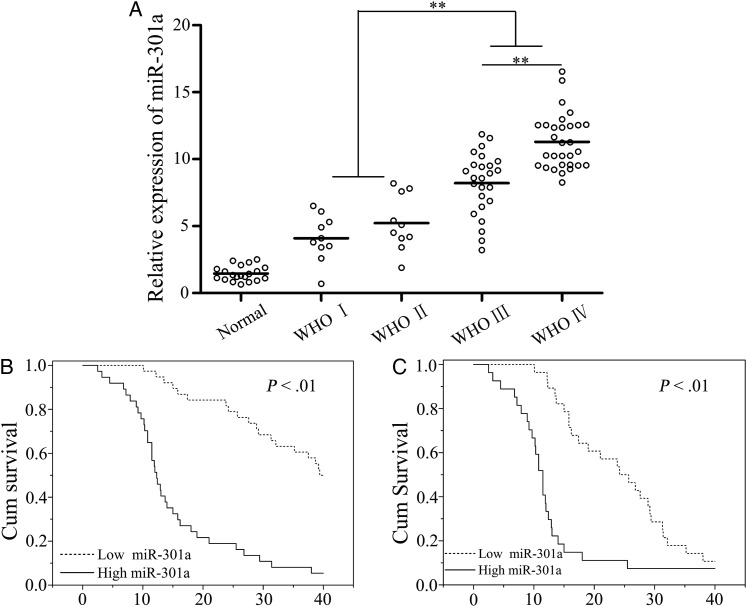 Fig. 1.