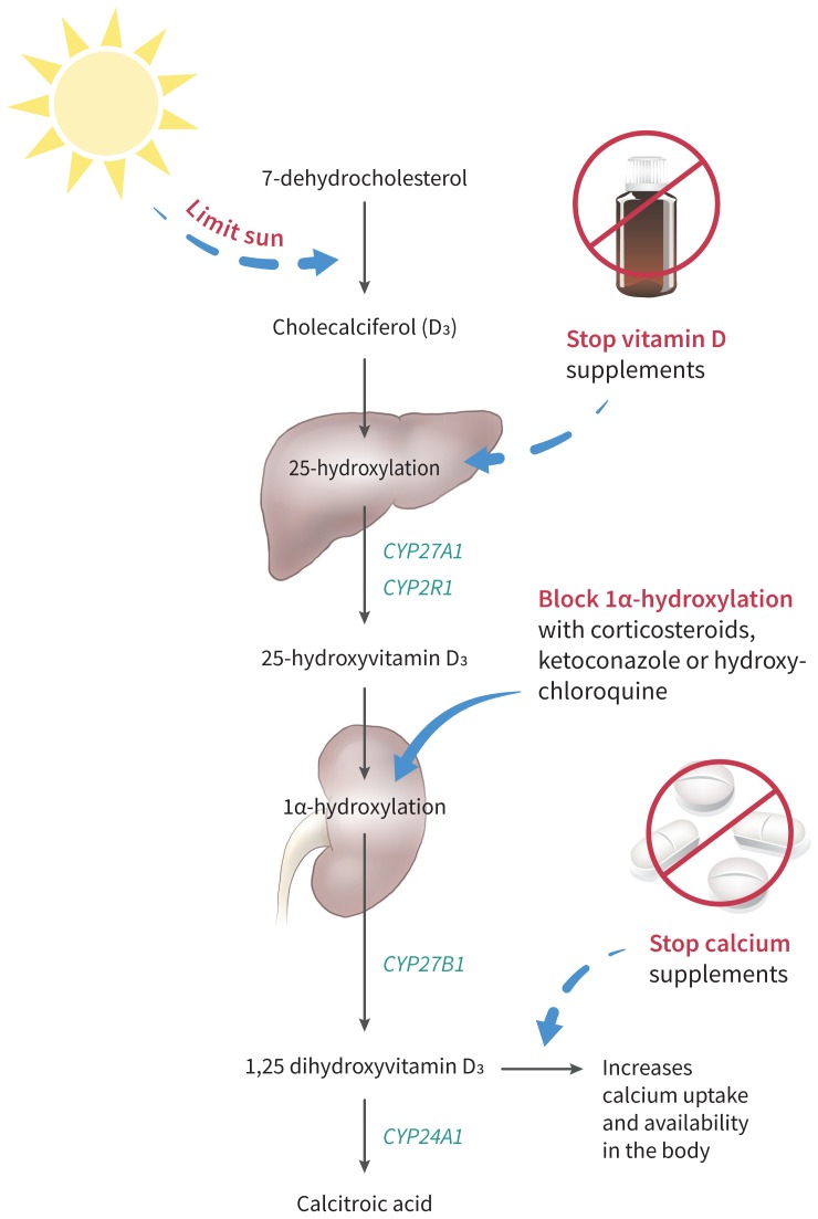 Figure 3: