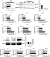 Fig 8