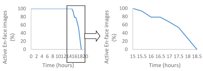 Fig. 9