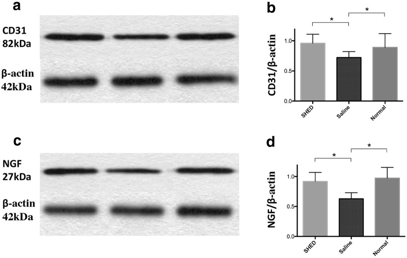 Fig. 7