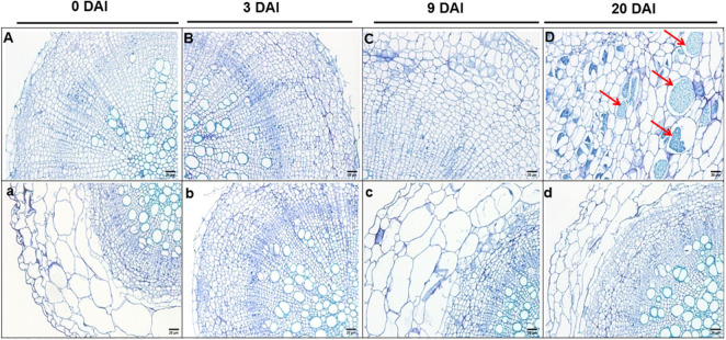 FIGURE 2