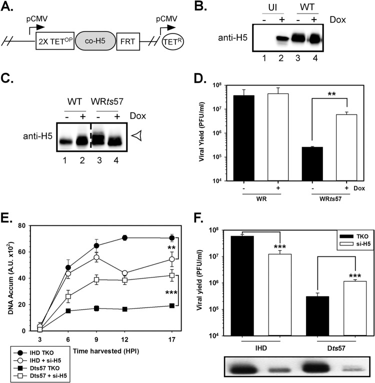 FIG 4